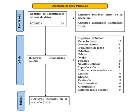 Diagrama

El contenido generado por IA puede ser incorrecto.